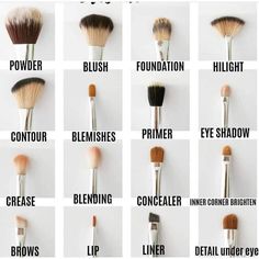 Types Of Makeup Brushes, Makeup Brush Uses, Membentuk Alis, Make Up Foundation, Bentuk Alis, Brush Guide, Mekap Mata, Makeup Order, Makeup Brushes Guide