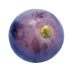 a close up of a blueberry on a white background with a yellow spot in the center