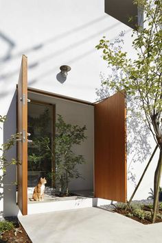 a dog sitting in the doorway of a modern house with trees and plants around it