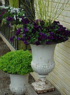 two white vases filled with purple flowers next to each other on the side of a building