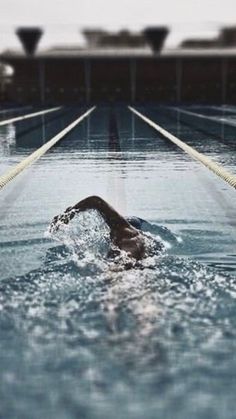 the swimmer is swimming in the pool with his back to the camera