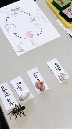 a table topped with lots of different types of papers and magnets on top of it