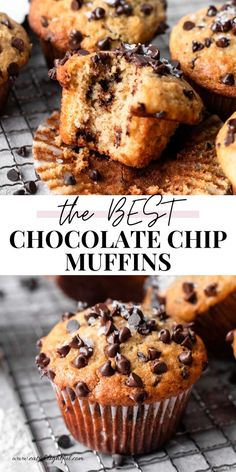 the best chocolate chip muffins on a cooling rack with text overlay that reads, the best chocolate chip muffins