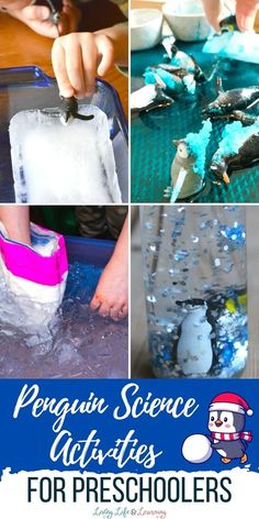 Penguin Science Activities for Preschoolers Penguin Science, Science Activities For Preschoolers, Homeschool Science Lessons, Activities For Preschoolers, Homeschool Science, Science Lessons, Science Activities, Educational Activities