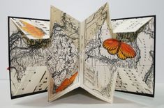 an open book with two orange butterflies on the pages and map in the background,