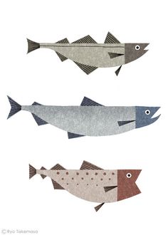 three different types of fish on a white background