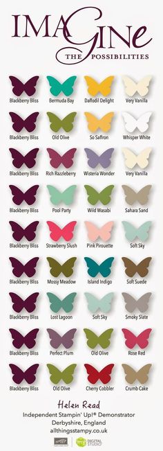 an image of the colors of butterflies in different shades and sizes, with text that reads blackberry