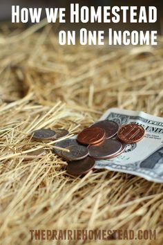 a pile of money sitting on top of hay with the words how we homestead on