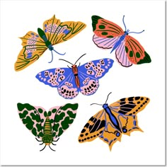 four different colored butterflies on a white background