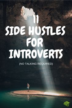 a person standing on an island with the text 11 side hustles for introvertts no talking required