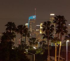 the city skyline is lit up at night, with palm trees and buildings in the background