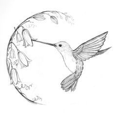 a drawing of a hummingbird flying in the air