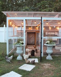 several chickens are in the yard near some potted plants and an outdoor chicken coop