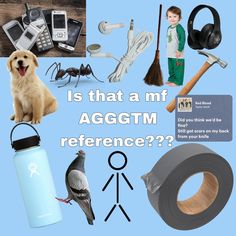 there are many different items that can be found in this image, including a dog and other things