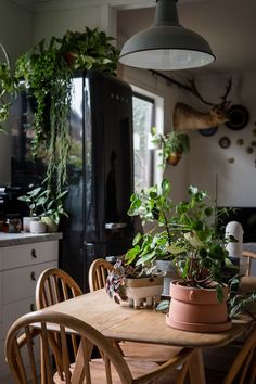 a wooden table topped with potted plants next to a black refrigerator