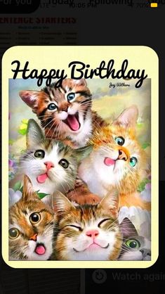 a group of kittens with the caption happy birthday my friend on instagram