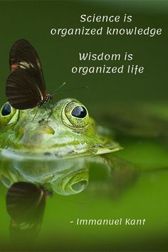 "Wetenschap is georganiseerde kennis. Wijsheid is georganiseerd leven." - Immanuel Kant Immanuel Kant, Book Titles, Navy Seal, Seal Design, Knowledge And Wisdom, English Book, Navy Seals, Life Organization