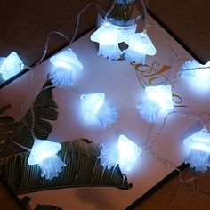 some lights that are on top of a white board with palm leaves and water in it