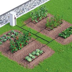 an aerial view of a garden with various plants and vegetables growing in the ground,