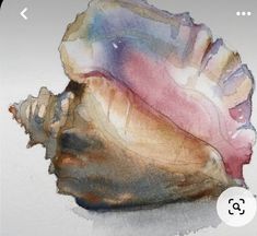 an image of a seashell painted with watercolors