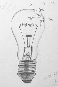 a pencil drawing of a light bulb with birds flying around it and the inside is empty