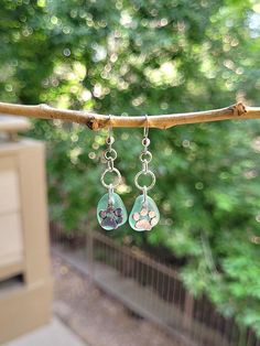 the small earrings are hanging from the tree branch in front of some trees and bushes