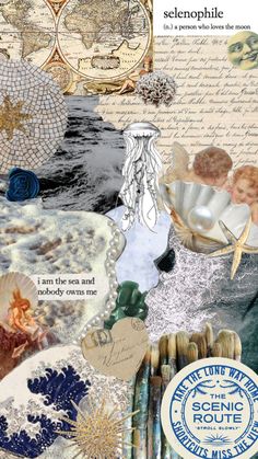 an altered collage with sea shells, seashells and other things on it