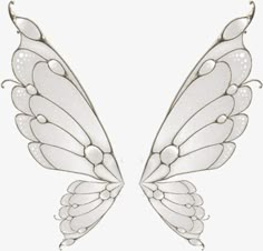 two white wings on a white background