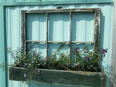 an old window with plants growing out of it