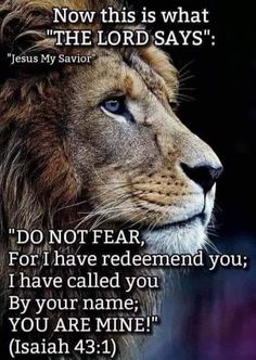 a lion's face with the bible verse below it