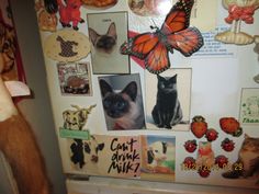 a refrigerator covered in magnets with cats and butterflies on it