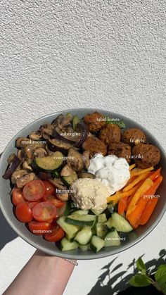 a person holding up a plate with different types of food on it, including vegetables and meats