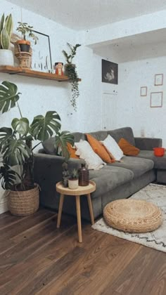 a living room filled with lots of furniture and plants on top of a hard wood floor