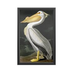 a painting of a pelican sitting on top of a rock