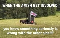 a horse drawn carriage with an american flag on it's back and the words when the amish get involved you know something seriously is wrong with the other side