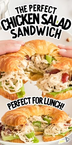 chicken salad sandwich cut in half on a white plate with text overlay reading the perfect chicken salad sandwich perfect for lunch