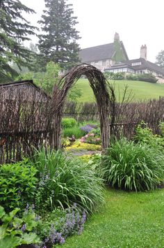 an outdoor garden with various plants and trees