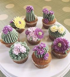 there are many cupcakes decorated with flowers on the plate