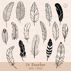 black and white feathers on a beige background with the words 24 feather svg - png