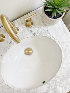 a white sink sitting next to a potted plant on top of a marble counter