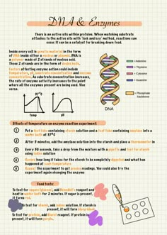 an info sheet with some information about different types of things in the world and how they are