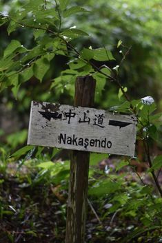 a sign that is on a wooden post in the grass with trees and bushes behind it