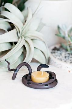 a candle that is sitting on a table next to a potted succulent