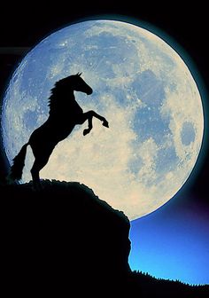 a horse standing on its hind legs in front of the moon