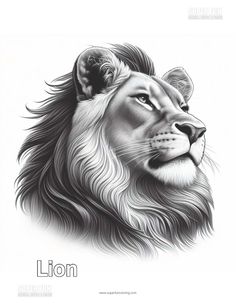 a black and white drawing of a lion's head with the word lion on it