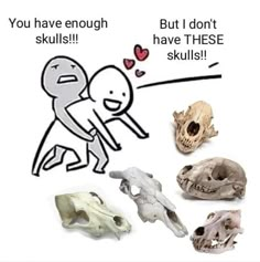 there are many different types of skulls in the picture and one is saying you have enough skulls, but i don't have these skulls