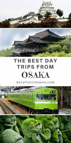 the best day trips from osak, japan with green plants and buildings in the background