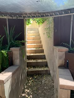 an outdoor area with steps and plants