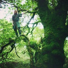 a man standing on top of a tree in the middle of a lush green forest