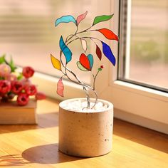 a plant with colorful leaves in a pot on a wooden table next to a window